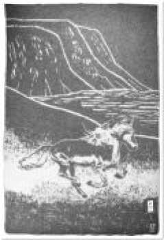 Mara Turnaround Plaid Horses ISI
